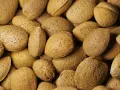 Un primo piano di mandorle intere con guscio, che mostrano la loro texture ruvida e i piccoli pori. Ecco cosa sono le mandorle, un frutto secco nutriente.