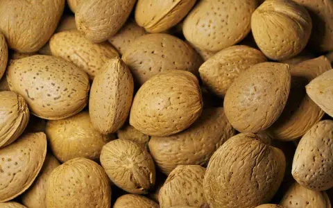 Un primo piano di mandorle intere con guscio, che mostrano la loro texture ruvida e i piccoli pori. Ecco cosa sono le mandorle, un frutto secco nutriente.