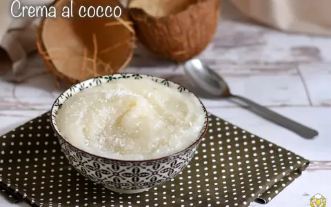 Una ciotola di deliziosa crema al cocco, cosparsa di cocco grattugiato, accanto a gusci di cocco e un cucchiaio.