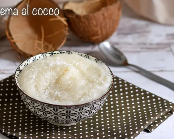 Una ciotola di deliziosa crema al cocco, cosparsa di cocco grattugiato, accanto a gusci di cocco e un cucchiaio.