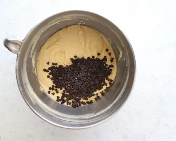 Impasto per torta con abbondanti gocce di cioccolato in una ciotola di metallo, pronto per essere infornato.