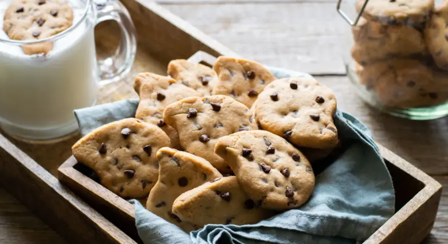 Biscotti al cioccolato, perfetti per una ricetta gocciole fatta in casa, serviti con latte fresco.